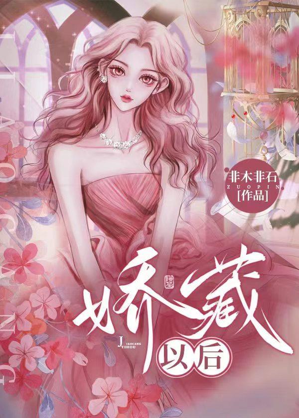 娇藏以后封面