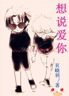 想说爱你封面