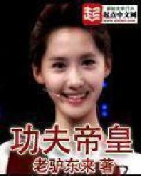 功夫帝皇封面