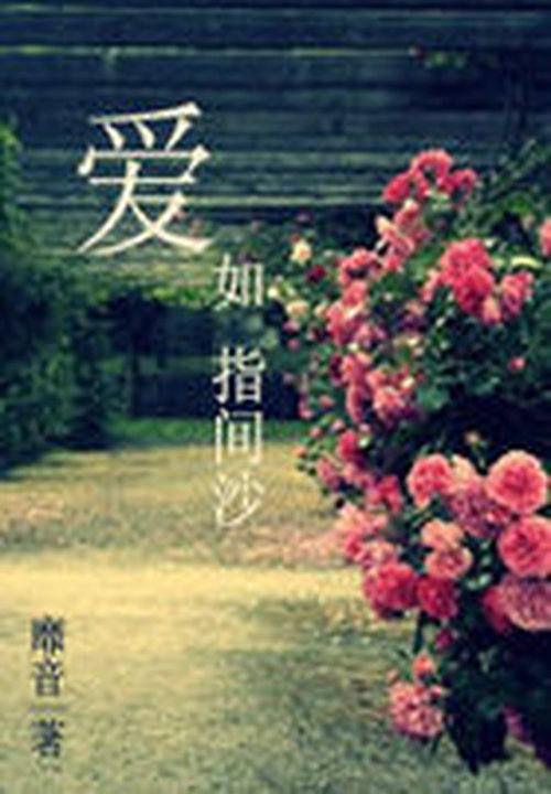 爱如指间沙封面