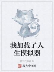 我加载了人生模拟器封面