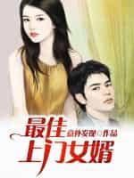 最佳上门女婿封面