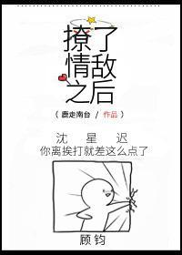 撩了情敌之后封面