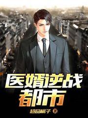 医婿逆战都市封面