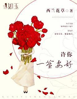 许你一笙安好封面