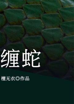 缠蛇封面