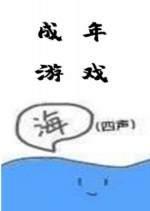 成年游戏封面