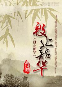 段止韶华封面