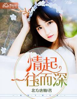 情起,一往而深封面