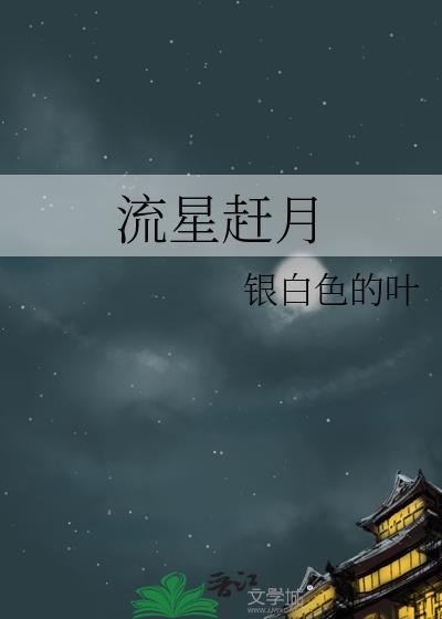 流星赶月封面