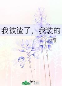 我被渣了，我装的封面