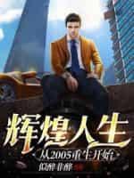 辉煌人生从2005重生开始封面