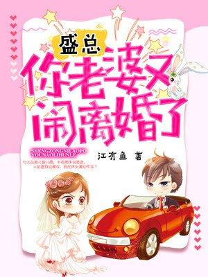 盛总，夫人又去败家了封面