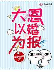 时苏景继寒封面
