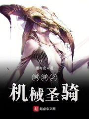 网游之机械圣骑封面
