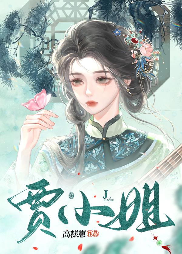 贾小姐封面