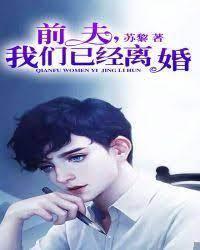 前夫,我们已经离婚封面