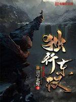 独行东汉封面