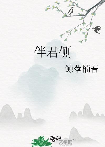 伴君侧封面
