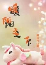 暖阳之下封面