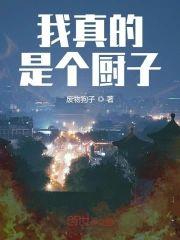 我真的是个厨子封面