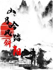 山月吟风踏斜阳封面