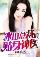 圣手医仙封面