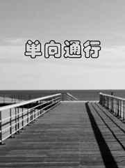 单向通行封面