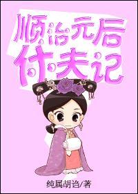 顺治皇后休夫记封面