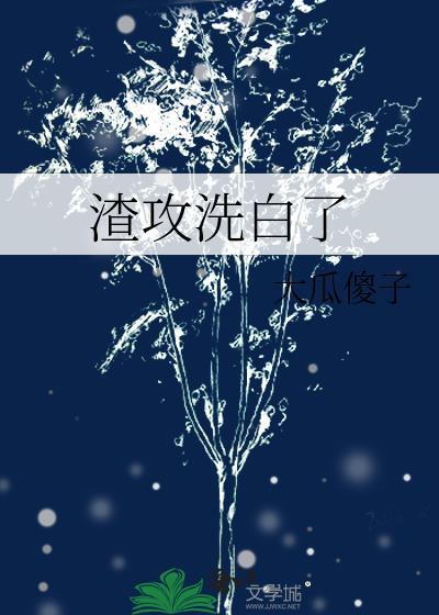 渣攻洗白了封面