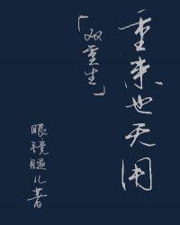 重来也无用(双重生)封面