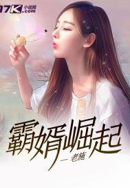 霸婿崛起封面