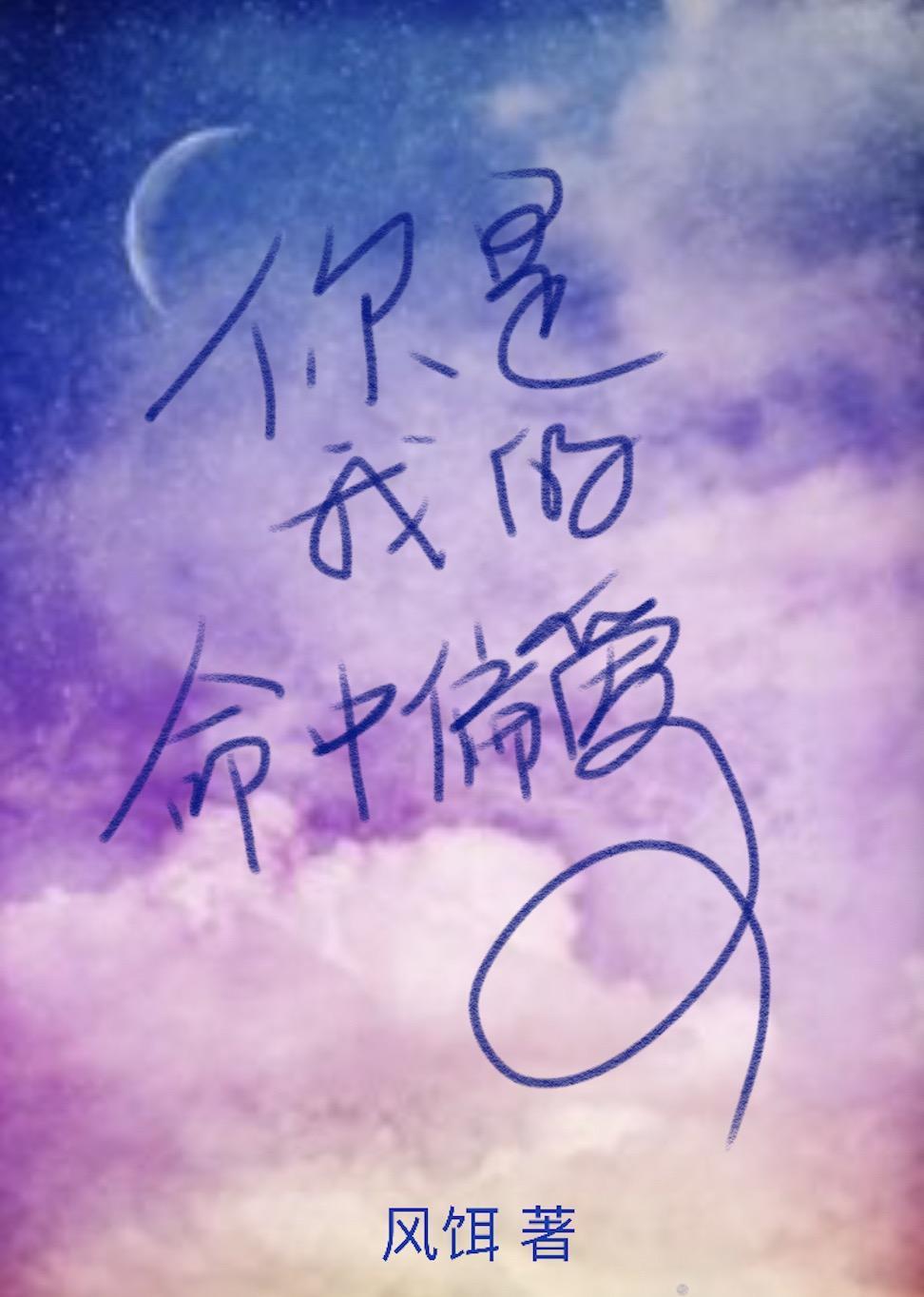 你是我的命中偏爱封面