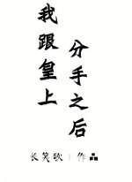 我跟皇上分手之后封面
