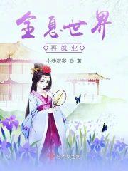 全息世界再就业封面