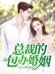 白木岚陆昊风封面