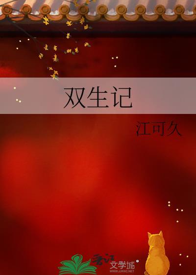 双生记封面