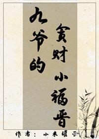 九爷的贪财小福晋（清穿）封面
