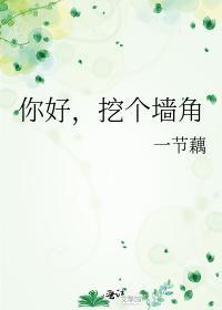你好,挖个墻角封面