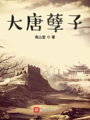 李宽回到大唐封面