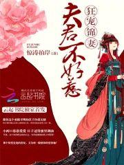 夫君不好惹：狂宠锦妻封面