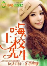 嗨,上校先生!封面