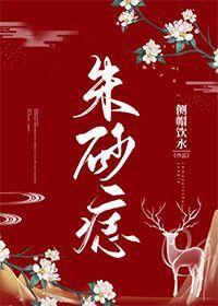 朱砂痣封面