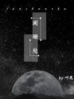 阑珊处封面