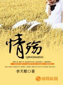 情殇封面
