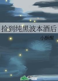 捡到纯黑波本酒后封面
