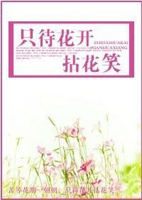 只待花开拈花笑封面