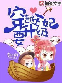 穿越王妃要升级封面