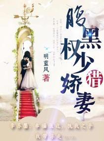 腹黑权少猎娇妻封面