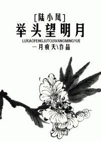 举头望明月封面